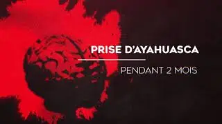Projet Data Visualisation - Le chamanisme en cure de d&eacute;sintoxication