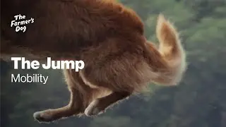 The Farmer's Dog Commercial: The Jump