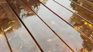 Shou Sugi Ban In The Garden With Johnyboy