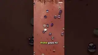 Kya WWE ke Thumbtacks/thumbpins real hote hain?