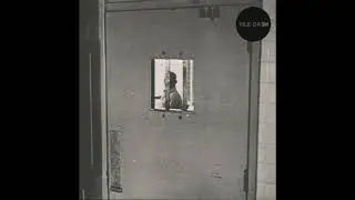 Vile Gash - Vile Gash 7