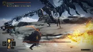 Elden Ring: Deathrite Bird Boss Fight