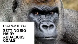 HOW AND WHY TO SET BIG HAIRY AUDACIOUS GOALS