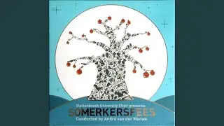 Somerkersfees