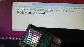 RaspberryPi SenseHat WebSite 03