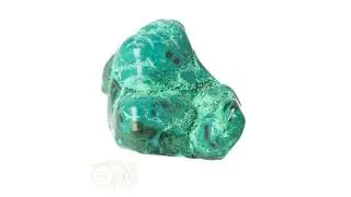 Malacholla free form No. 20 - Freeform sculptuur kopen
