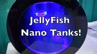 JellyFish Nano Tanks!