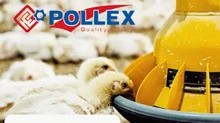 Pollex - Quality & Trust Guaranteed! Call us for more information!North -9996352002South -7899282405