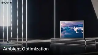 Discover Ambient Optimization