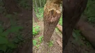 building 13ft watch tower part 1