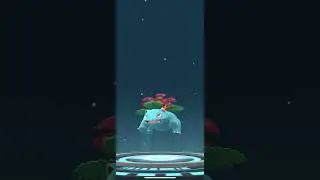 [Pokemon GO] Full Evolution Line of Party Hat Bulbasaur into Party Hat Venusaur! #pokemon #venusaur