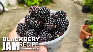 ВКУСНЫЙ и ПРОСТОЙ рецепт ежевичного джема &mdash; полностью натуральный