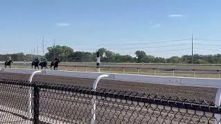Nebraska HBPA Derby