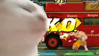 Cat Vibes To This Is True Love Makin' CVS2