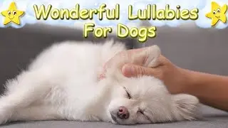 Calming And Relaxing Music For Puppies And Dogs  ♫ Relax Your Dog Within 10 Minutes