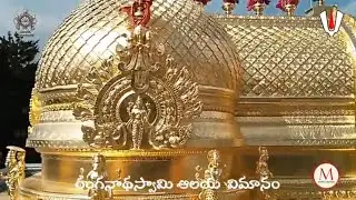 SRI RANGANATHA SWAMY TEMPLE DOME TIRUCHIRAPALLY  |  రంగనాథస్వామి ఆలయ  విమానం