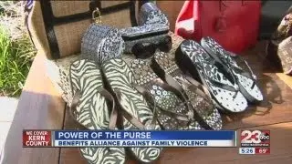 Power Of the Purse