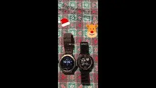 Display Amoled T-REX 3 VS MIP Instinct 3 Solar