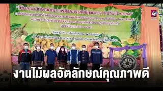น่าน จัดงานไม้ผลอัตลักษณ์คุณภาพดีและของดีเชียงกลาง 2565