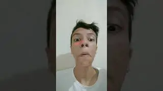 Snapshit