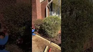 Timber landscape upgrade