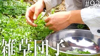 廃墟に生えてる”雑草”で団子を作って食べてみた結果… #92