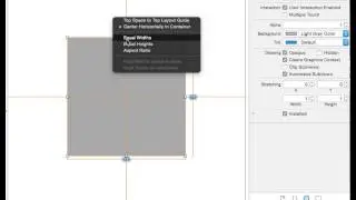 Percentage width with fixed aspect ratio in a Storyboard