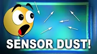 Первая химчистка сенсоров моей зеркальной фотокамеры (комплект Lenspen SensorKlear Loupe Kit)