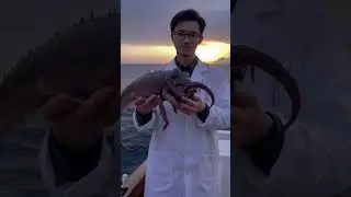 Scientists find weird fish... #ai #creepy #strangeai #monsters