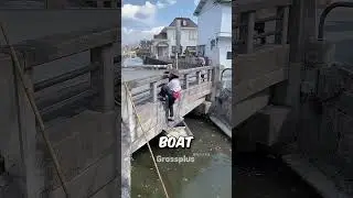 Duck boat ride in japan #shorts #science