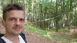 Rzadki PIEPRZNIK i młode BOROWIKOWATE w nowym lesie