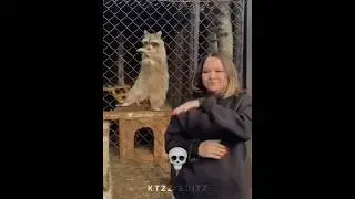 Pets imitating owners 💀