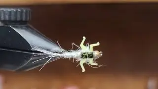 Tying The Hare'e Hare's Ear Nymph With Lively Legz!!