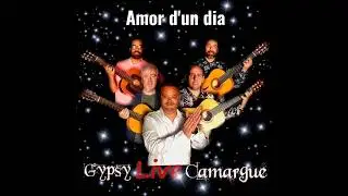 Amor d'un dia (Gypsy live camargue) [Cover Gipsy Kings]
