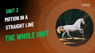 Ethiopian New Curriculum |Grade 9 Physics |Unit 3 Motion in a straight line