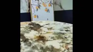 Alaska Gold Granite Countertop For Our New Shown Room Fit Out.