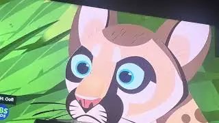 Search for the Florida PantherWild Kratts: Season 3, Episode 6 @PBSKIDS @WildKratts 