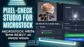 Microstock Mastery Image Prep for Perfect Submissions!