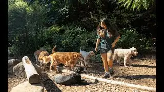 Camp Happy Paws Virtual Tour