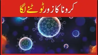 VOICE TODAY BREAKING | corona virus decrease  day by day | Covid 19