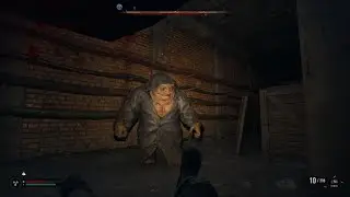 How to kill Burer Mutants in Stalker 2 