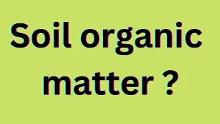 Soil organic matter