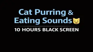 Loud Cat Purring & Eating Sounds 😻 10 Hours | Black Screen #catpurring #catasmr #eatingsounds
