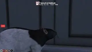 2/22/23 - Tiny Peets | peets of fury | Rat RP | NoPixel RP WL