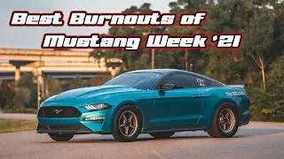 Mustang Week '21 - A Highlight Reel
