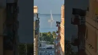 Palma's Maritime Spectacle! 🌍 EPIC Timelapse: Cruise Ships, Ferries & More! 🚢🌊