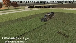 FS25 Ranching Series Building a Beef Cattle Ranch on The Panhandle EP 4