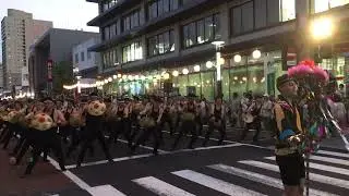 山形花笠まつり 男性バージョン
