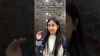 Cambial Ring | Anatomy of Flowering Plants #neet #shorts