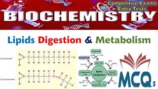 Biochemistry | Lipids Metabolism and Digestion MCQs